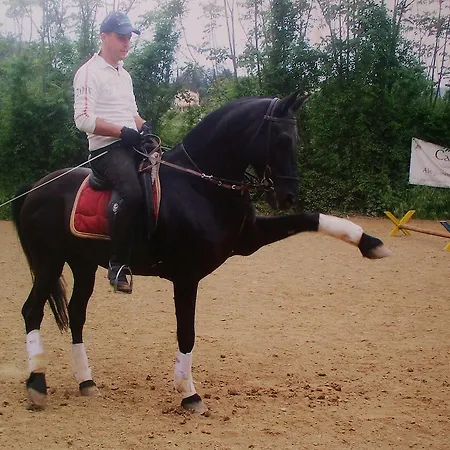 Podere Pian De' Cortini *