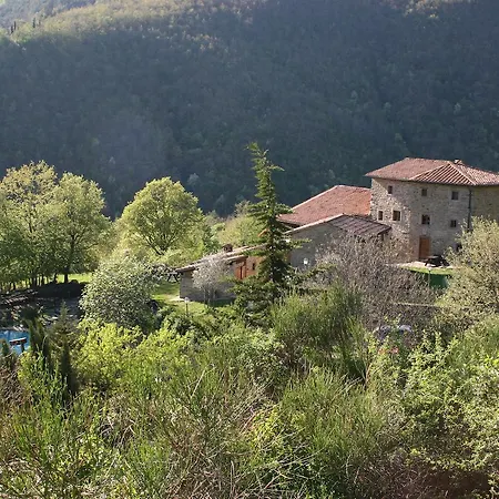 Podere Pian De' Cortini *